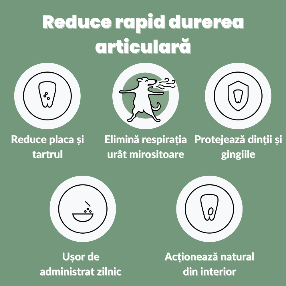 KELPIX – PULBERE DENTARĂ PRO