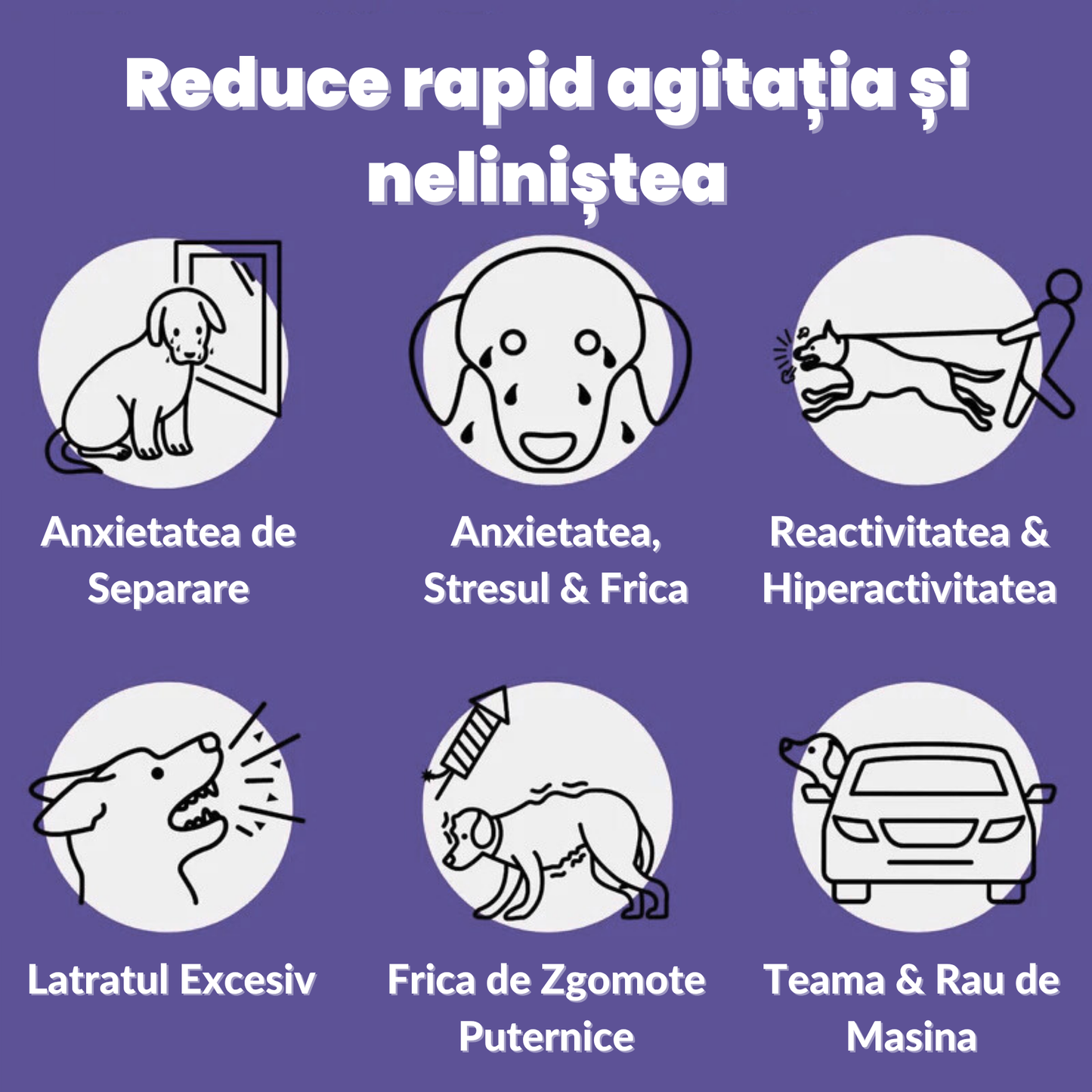 60 LINIȘTEL – PREMIU CALMANT