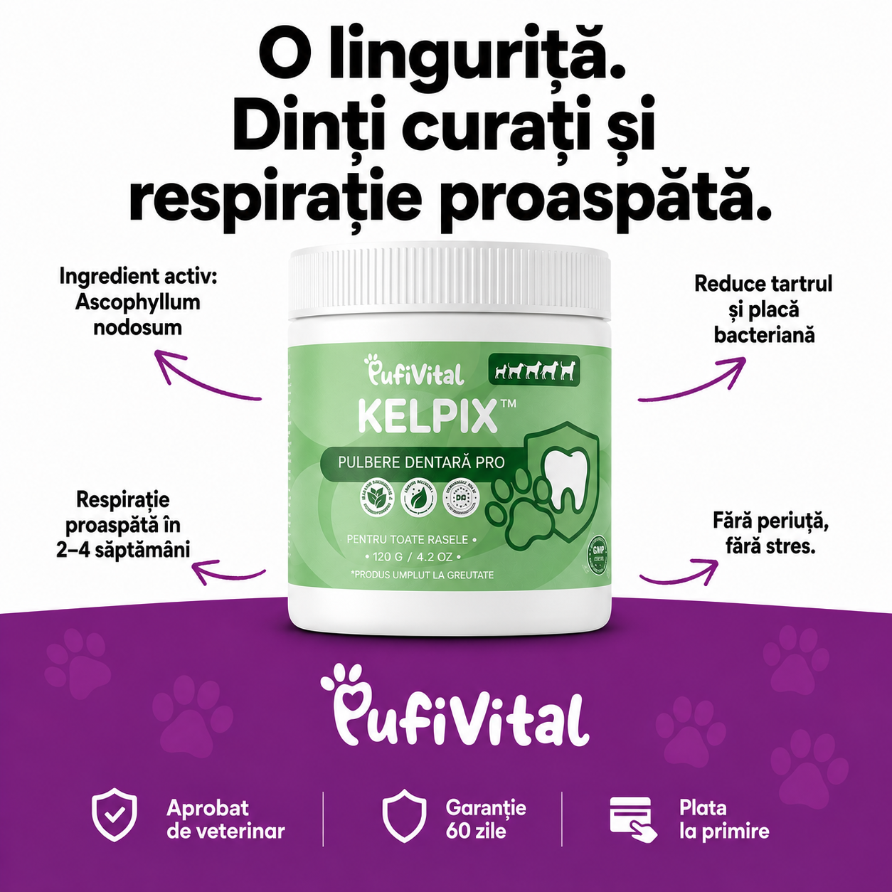 KELPIX™ pulbere dentară: respirație proaspătă, mai puțin tartru, fără periaj
