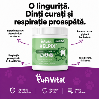 KELPIX™ pulbere dentară: respirație proaspătă, mai puțin tartru, fără periaj