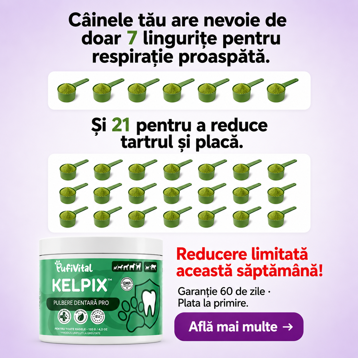 KELPIX™ — o linguriță pe zi presărată în hrana câinelui