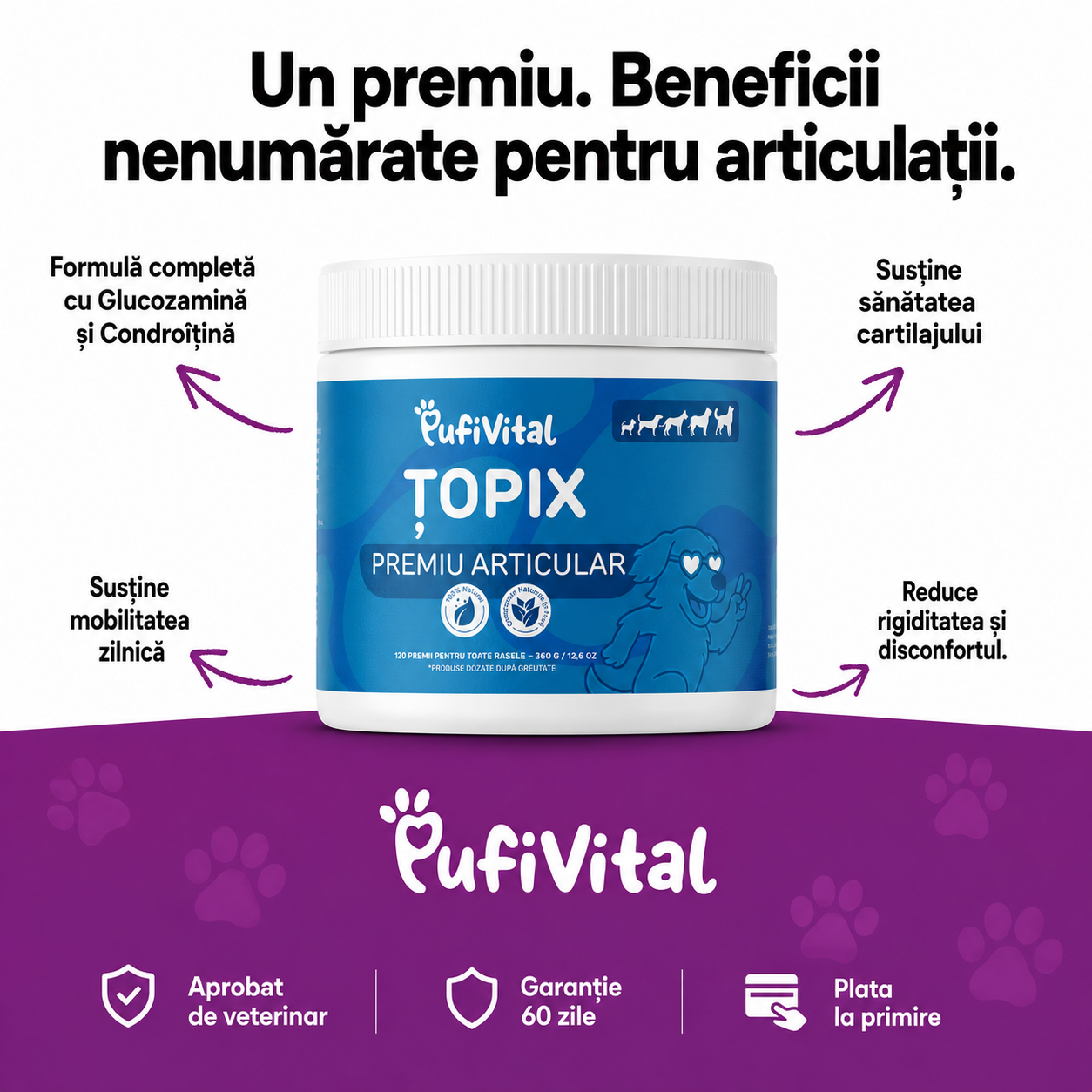 120 ȚOPIX – PREMIU PENTRU ARTICULAR