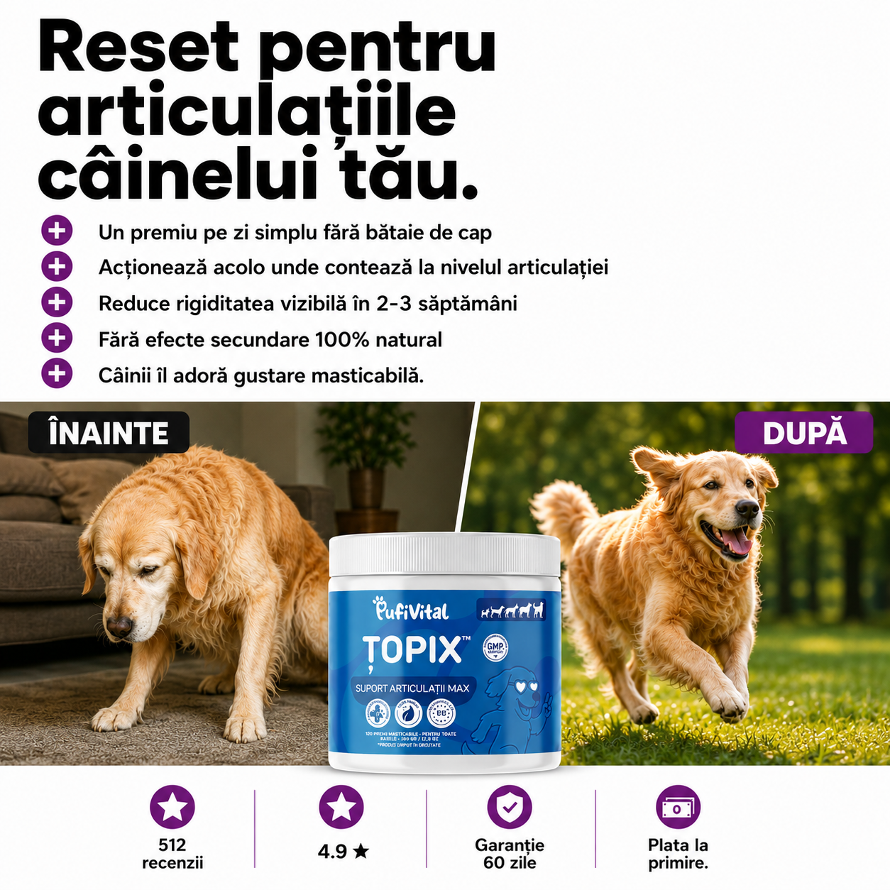 120 ȚOPIX – PREMIU PENTRU ARTICULAR