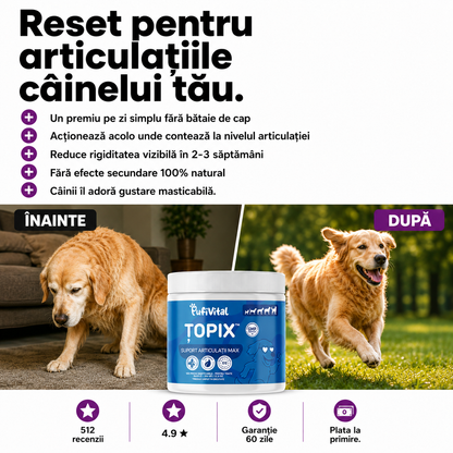 120 ȚOPIX – PREMIU PENTRU ARTICULAR